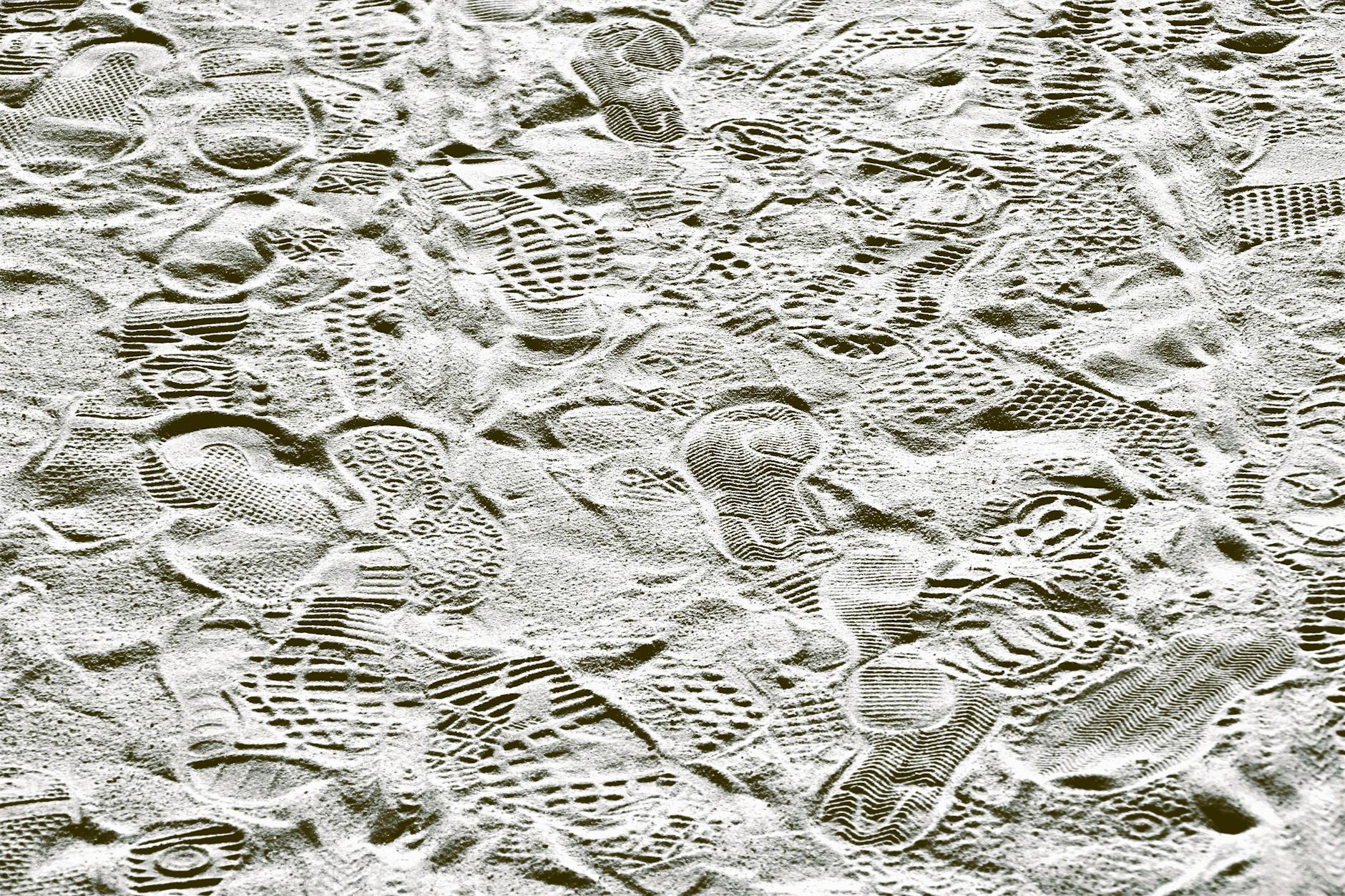 2. Lập Kế Hoạch Chi Tiết: Bước Khởi Đầu Quan Trọng